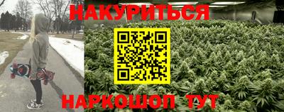 прущие грибы Волжск