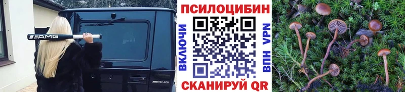 Галлюциногенные грибы мицелий  Волжск 