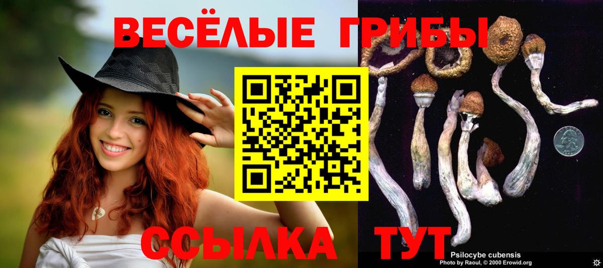 где продают наркотики  Галлюциногенные грибы мухоморы  Вход с VPN  Волжск 