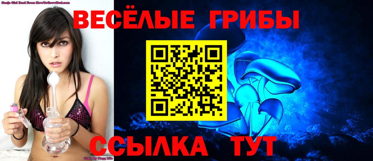 Псилоцибиновые грибы Magic Shrooms Волжск
