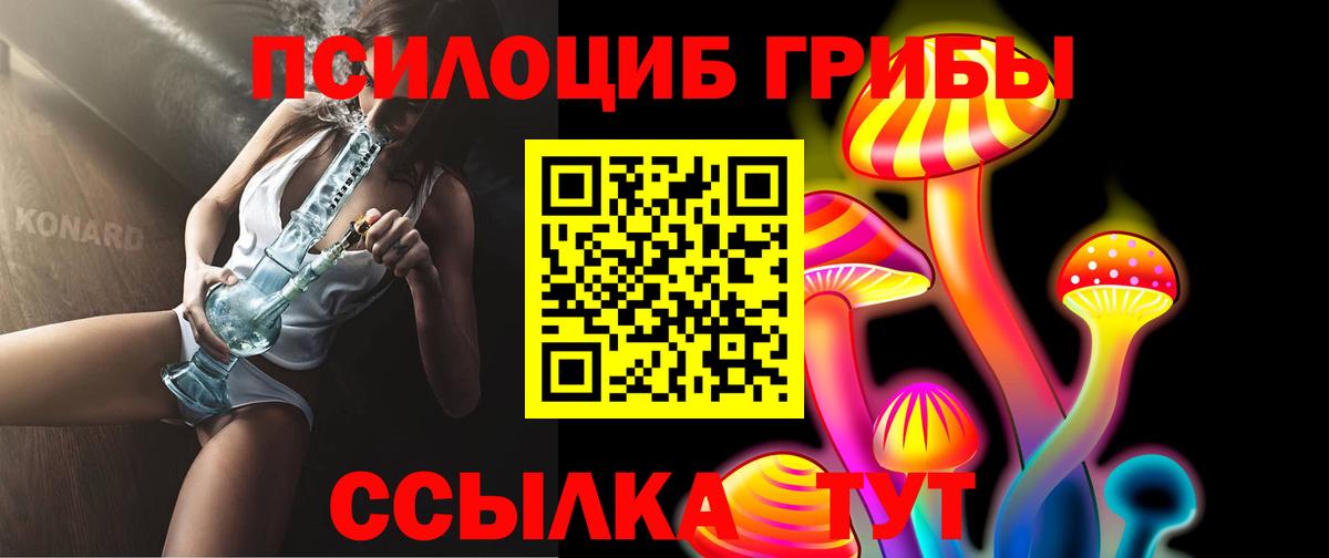 Галлюциногенные грибы Psilocybe  Волжск 